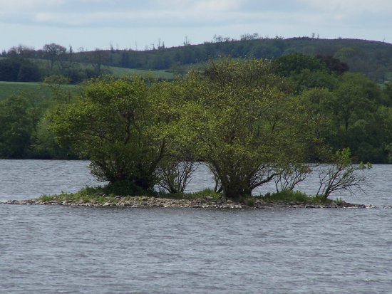 Crannog_2007_x10a.JPG