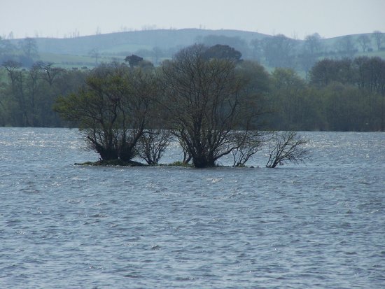 Crannog_2006_x10a.JPG