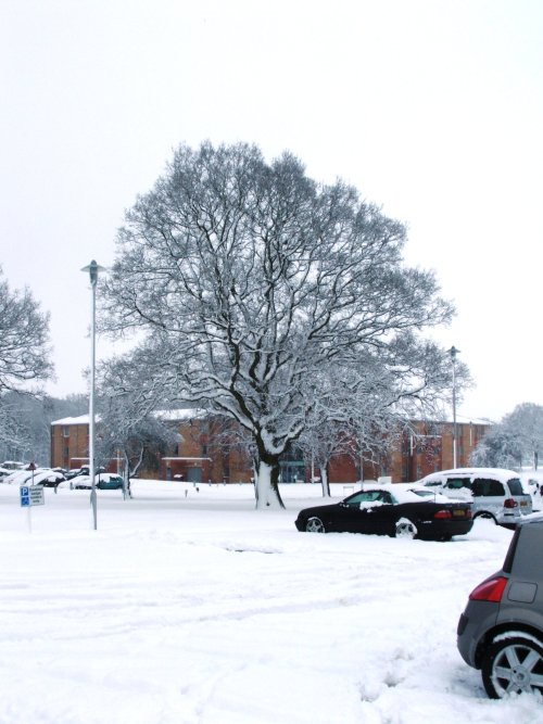 Car Park in snow.JPG