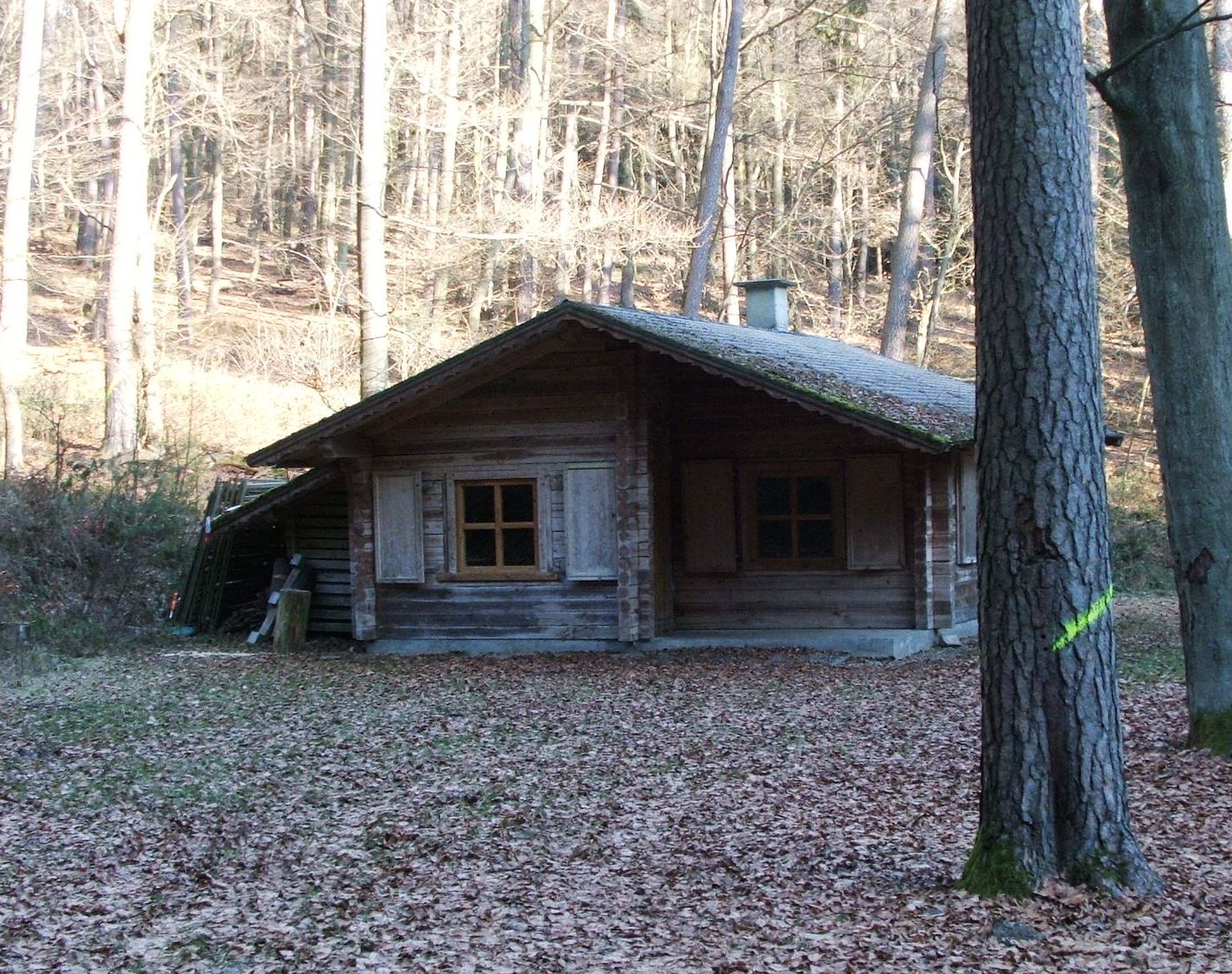 Forest Lodge.JPG