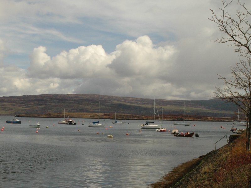 2006_Tobermory-harbour-s.jpg