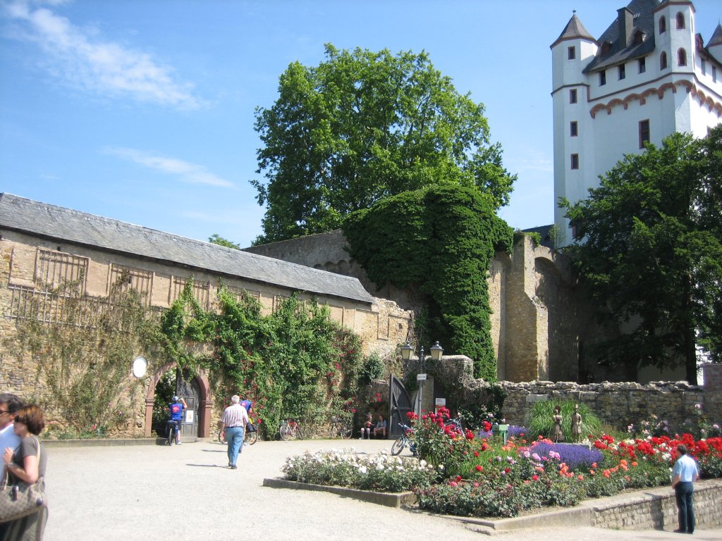 070607_eltville-burg.JPG