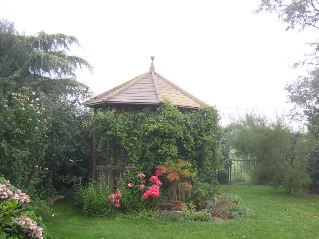 070827_garten.JPG