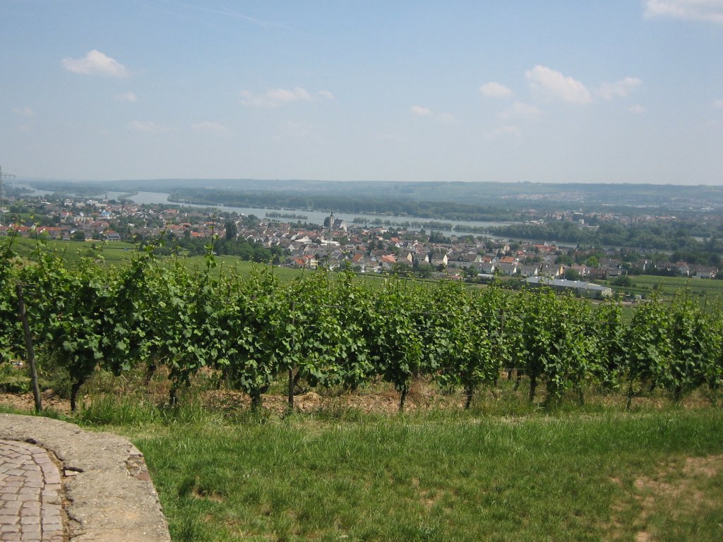 070606_rhine-view.JPG