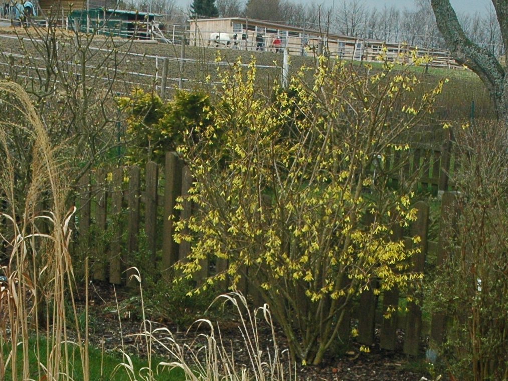 080406_garden01.jpg